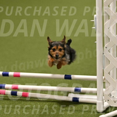 Kash-Kayla-Mickey-10621