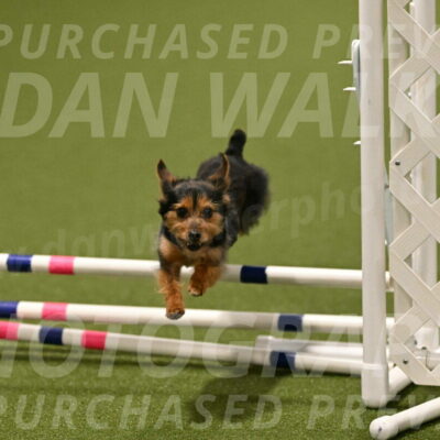 Kash-Kayla-Mickey-10622