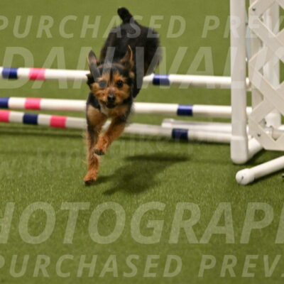 Kash-Kayla-Mickey-10623