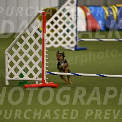 Kash-Kayla-Mickey-10625