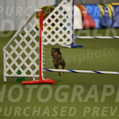 Kash-Kayla-Mickey-10626