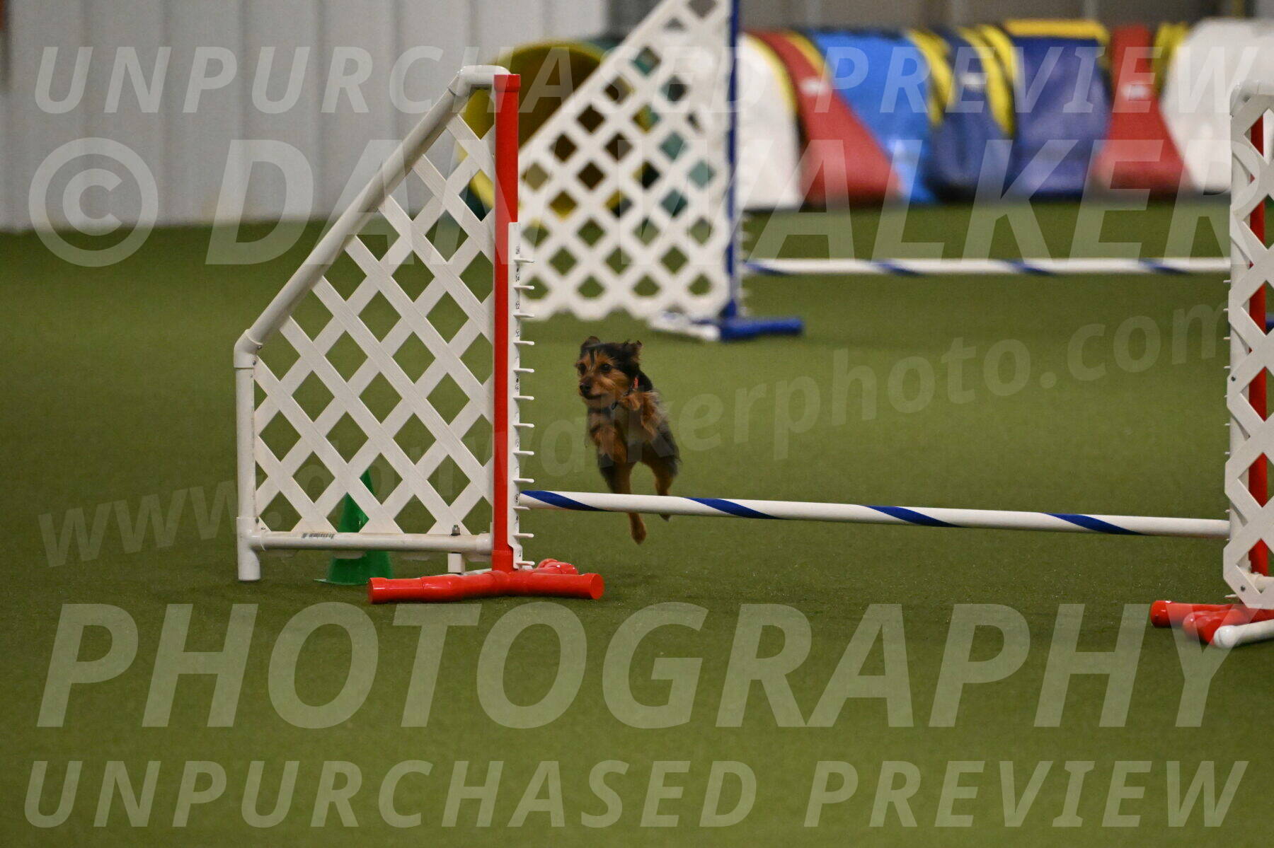 Kash-Kayla-Mickey-10626