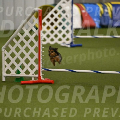 Kash-Kayla-Mickey-10627