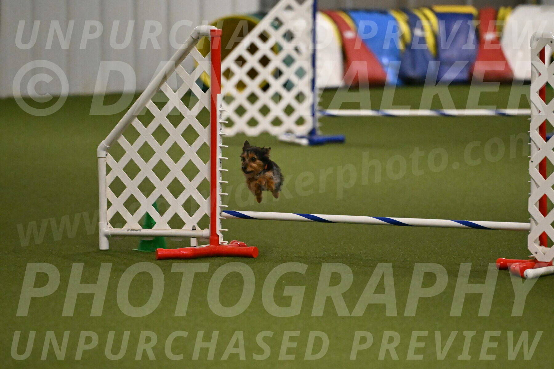 Kash-Kayla-Mickey-10627