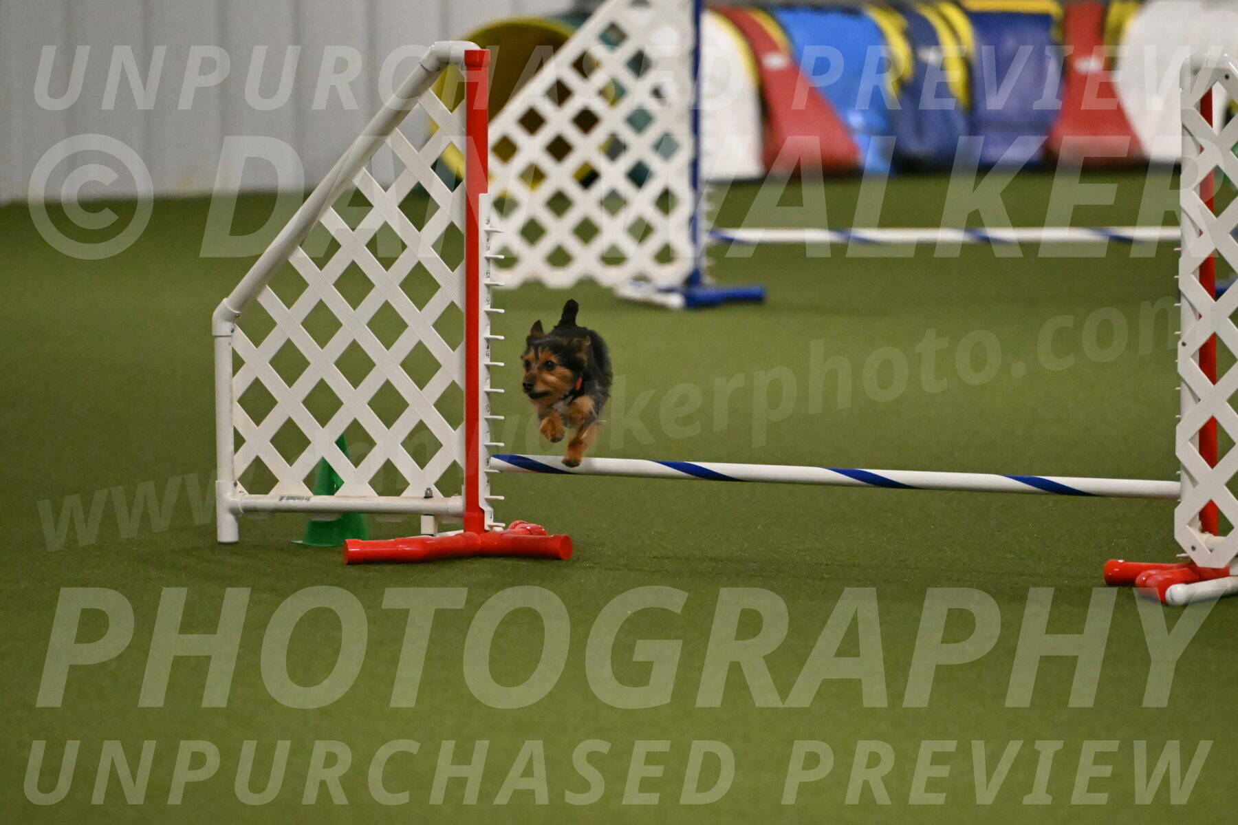 Kash-Kayla-Mickey-10628