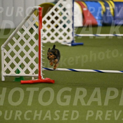 Kash-Kayla-Mickey-10628