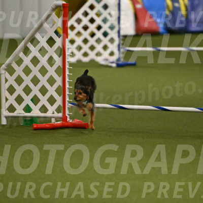 Kash-Kayla-Mickey-10629