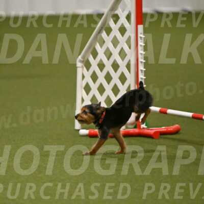 Kash-Kayla-Mickey-10630