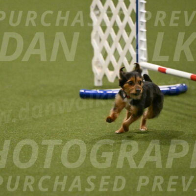 Kash-Kayla-Mickey-10631