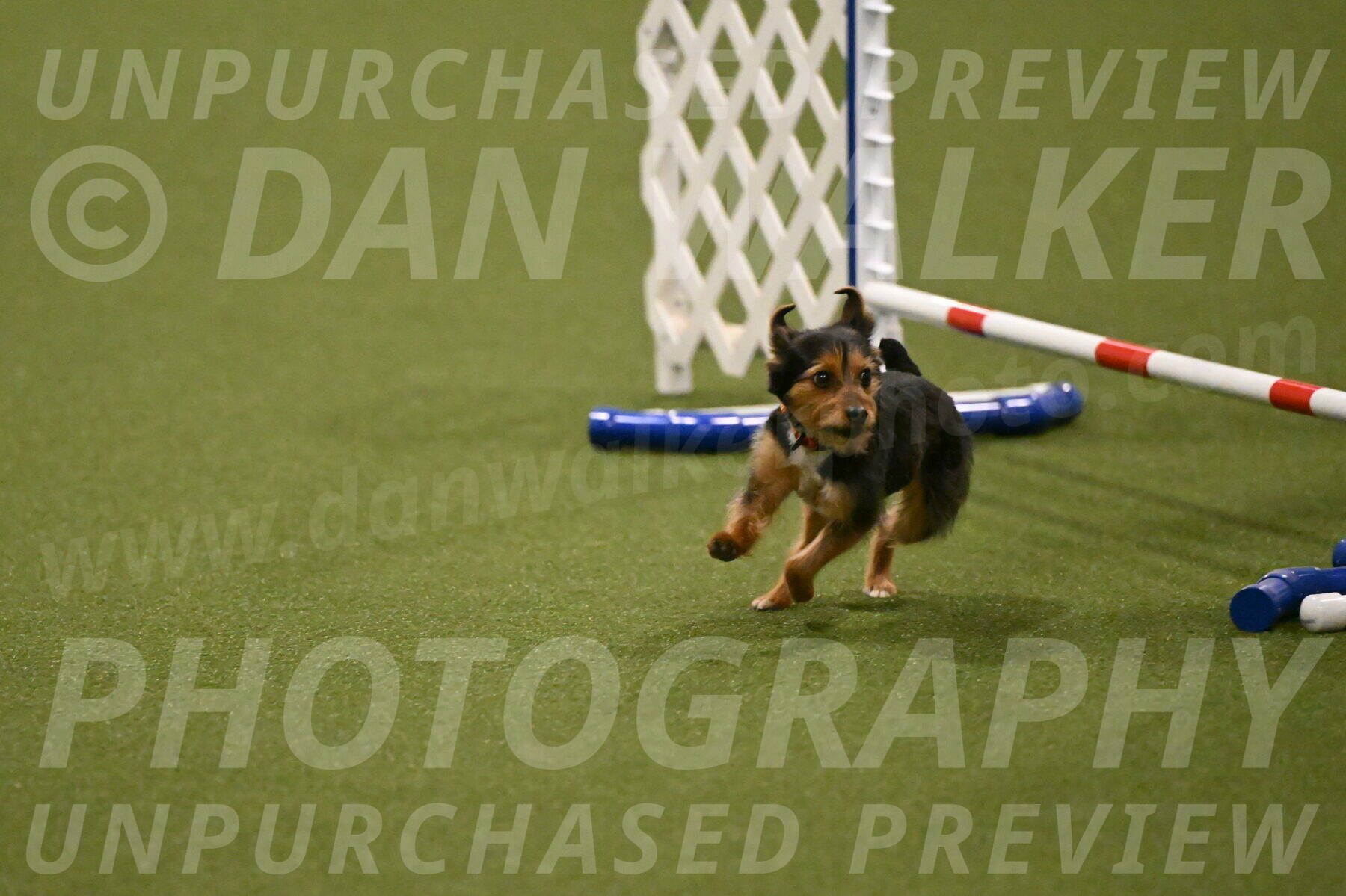 Kash-Kayla-Mickey-10631