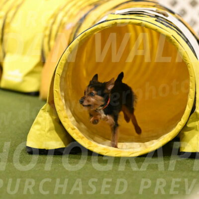 Kash-Kayla-Mickey-10632