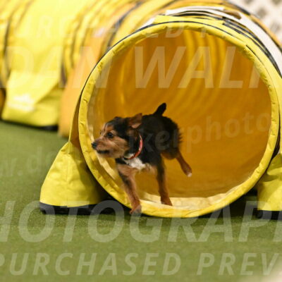 Kash-Kayla-Mickey-10633