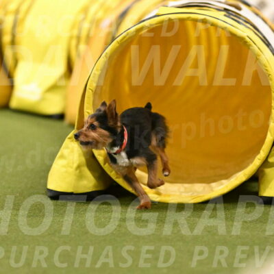 Kash-Kayla-Mickey-10634