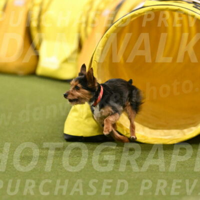 Kash-Kayla-Mickey-10635