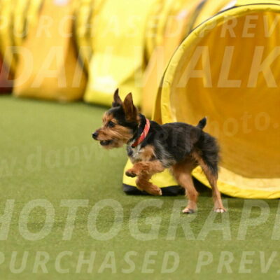 Kash-Kayla-Mickey-10636