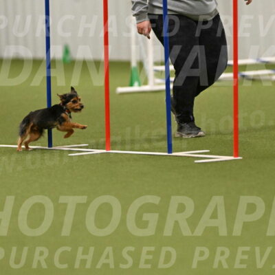 Kash-Kayla-Mickey-10637