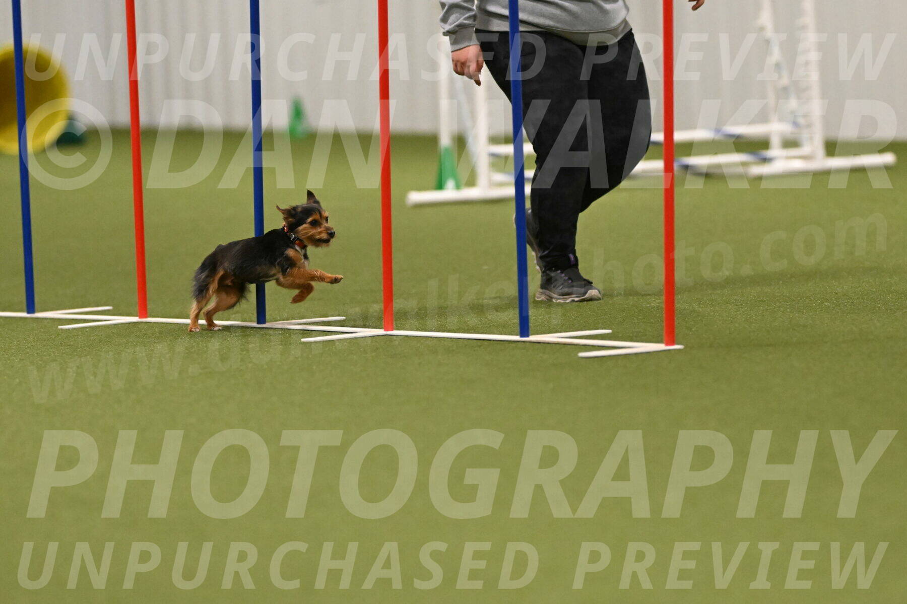 Kash-Kayla-Mickey-10637