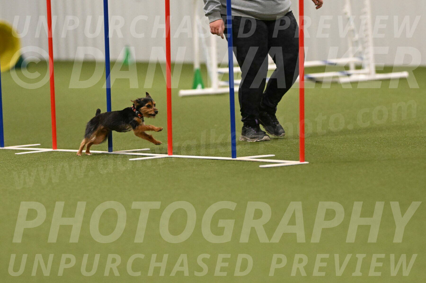 Kash-Kayla-Mickey-10638