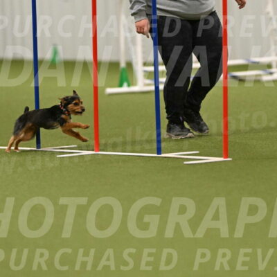 Kash-Kayla-Mickey-10638