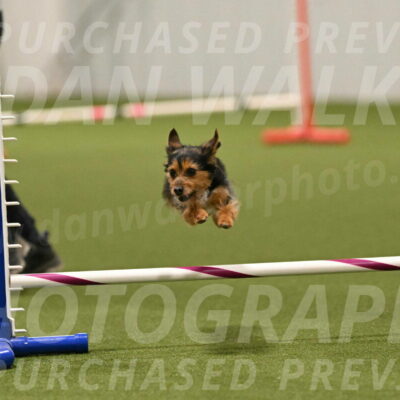 Kash-Kayla-Mickey-10639