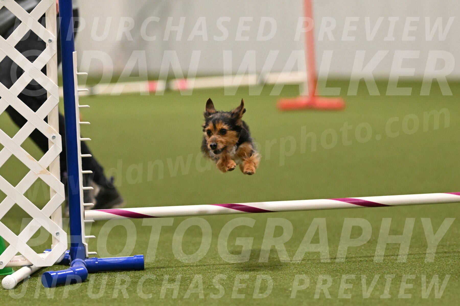 Kash-Kayla-Mickey-10639