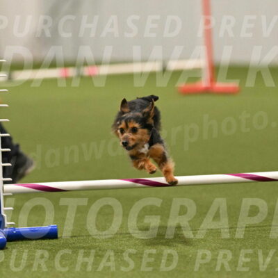 Kash-Kayla-Mickey-10640