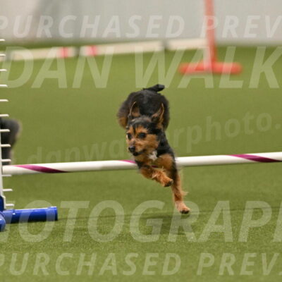 Kash-Kayla-Mickey-10641