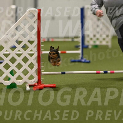 Kash-Kayla-Mickey-10642