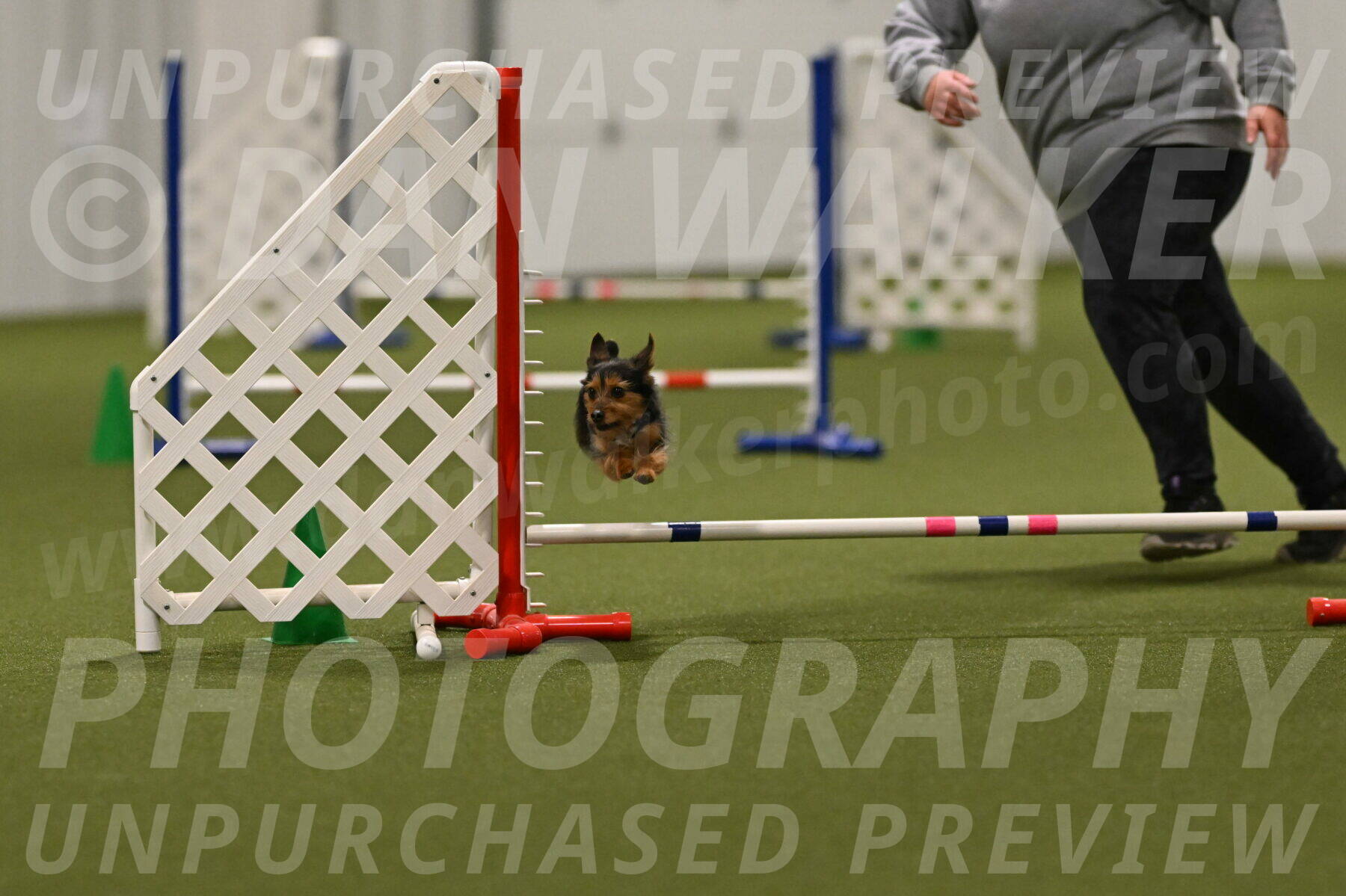 Kash-Kayla-Mickey-10642