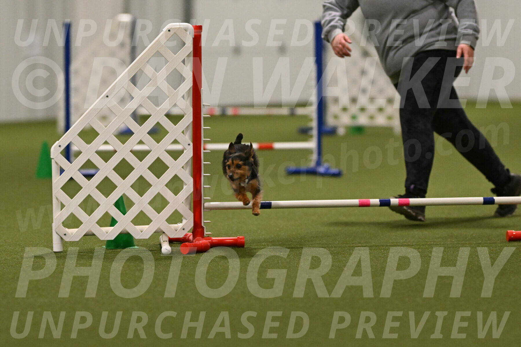 Kash-Kayla-Mickey-10643