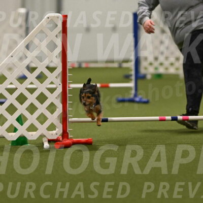 Kash-Kayla-Mickey-10643