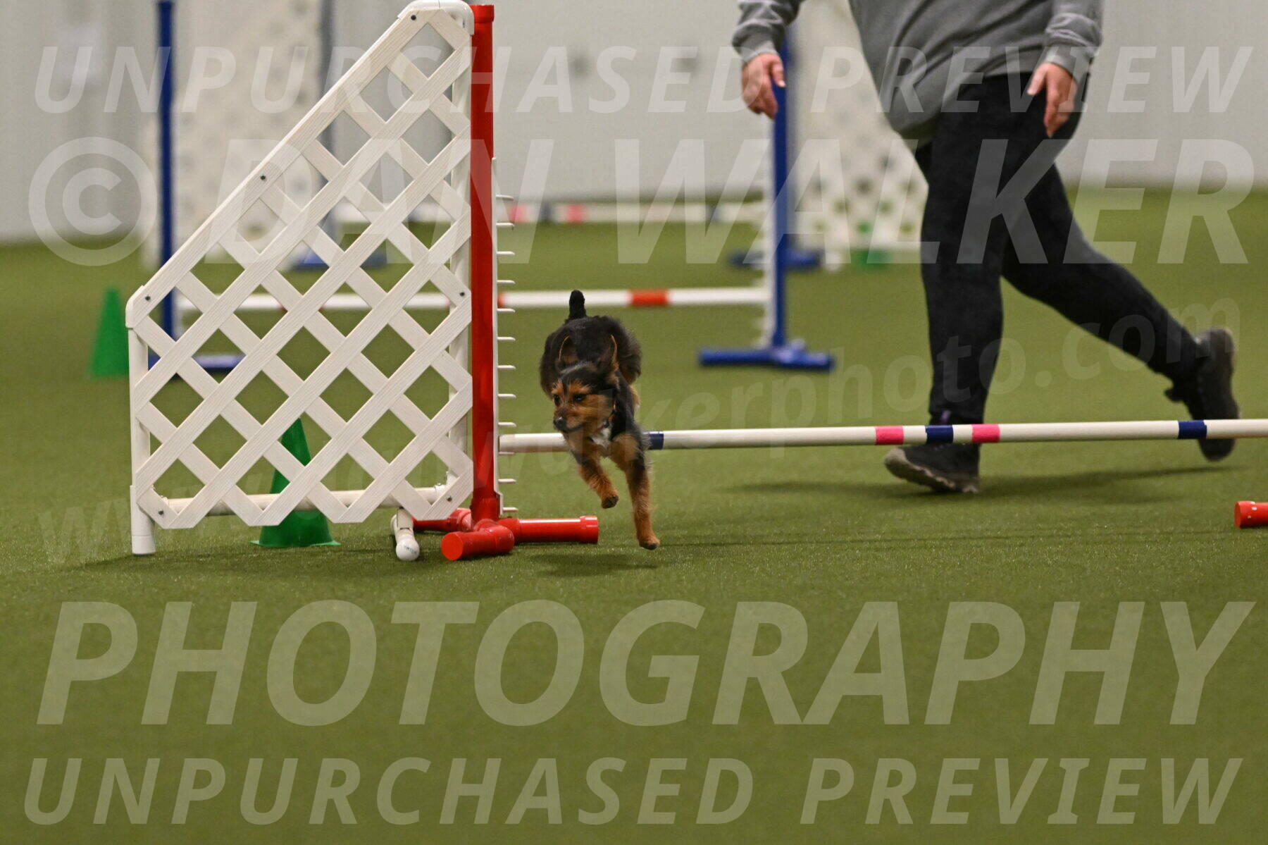 Kash-Kayla-Mickey-10644