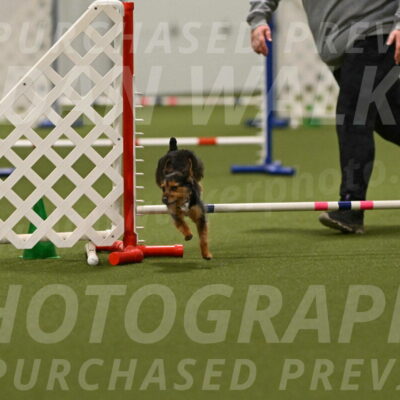 Kash-Kayla-Mickey-10644