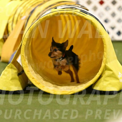 Kash-Kayla-Mickey-10645