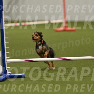 Kash-Kayla-Mickey-10646