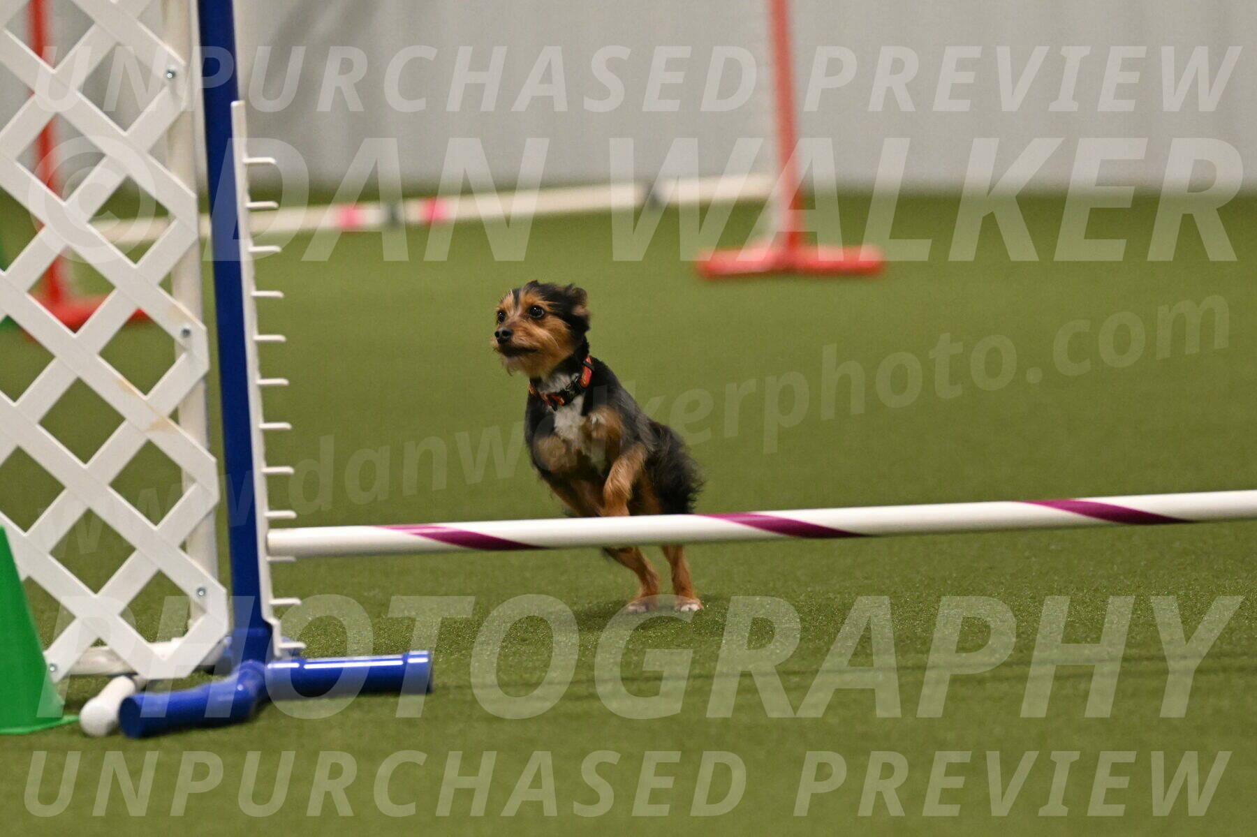 Kash-Kayla-Mickey-10646