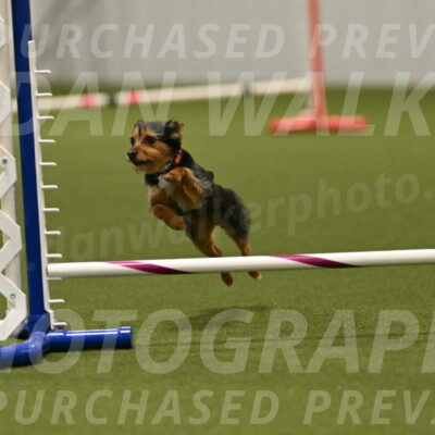 Kash-Kayla-Mickey-10647