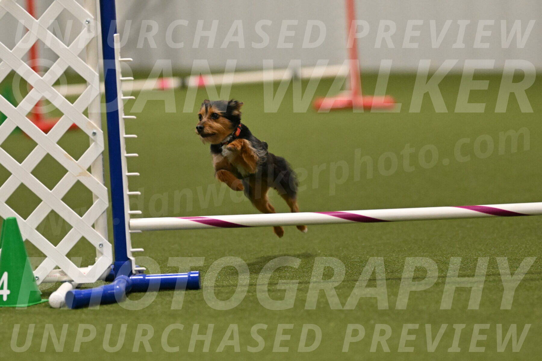 Kash-Kayla-Mickey-10647