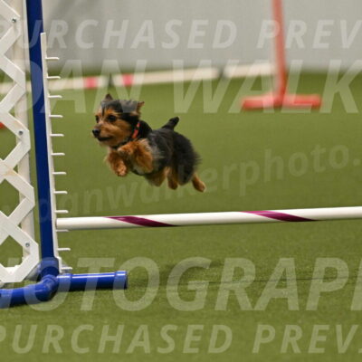 Kash-Kayla-Mickey-10648