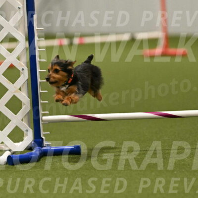 Kash-Kayla-Mickey-10649