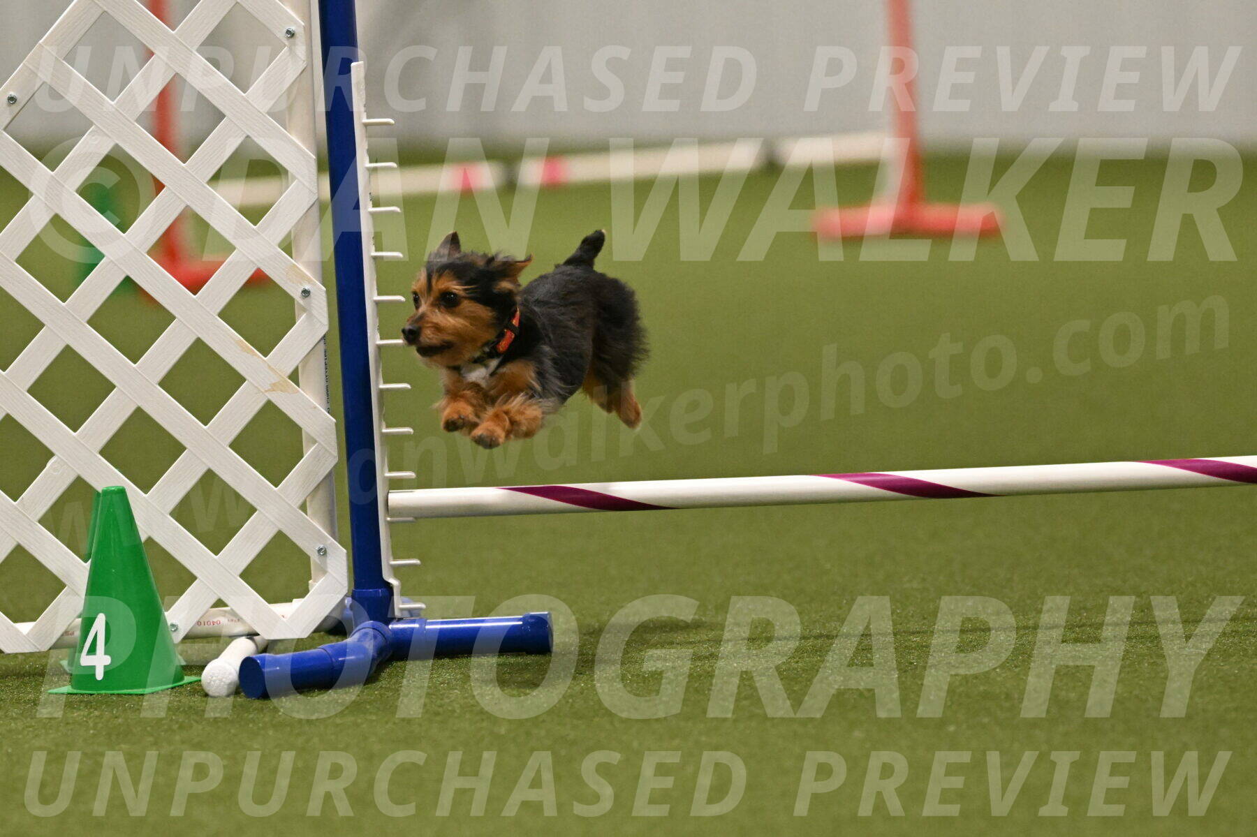 Kash-Kayla-Mickey-10649