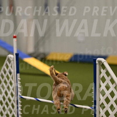 Keegan-Andrea-Ralles-05759