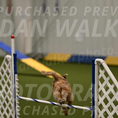 Keegan-Andrea-Ralles-05760