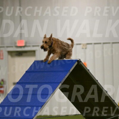 Keegan-Andrea-Ralles-05761