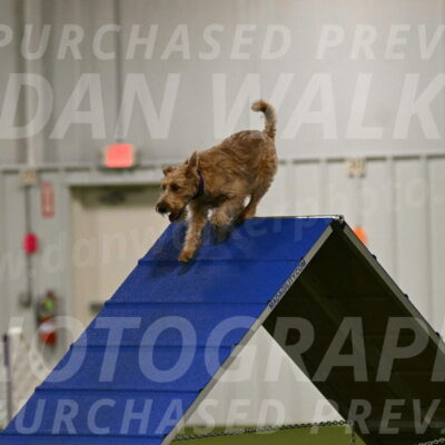 Keegan-Andrea-Ralles-05762