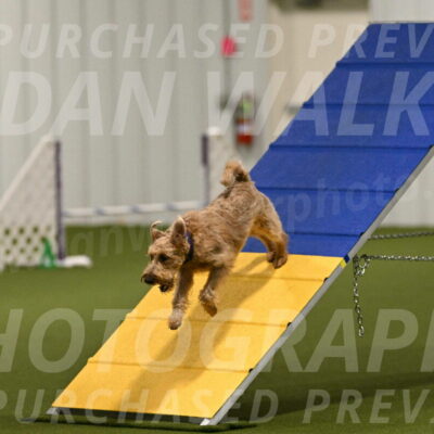 Keegan-Andrea-Ralles-05763