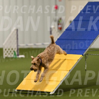 Keegan-Andrea-Ralles-05764