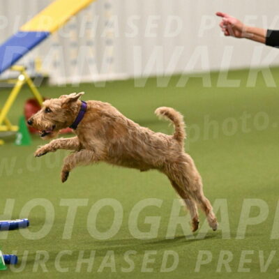 Keegan-Andrea-Ralles-05765