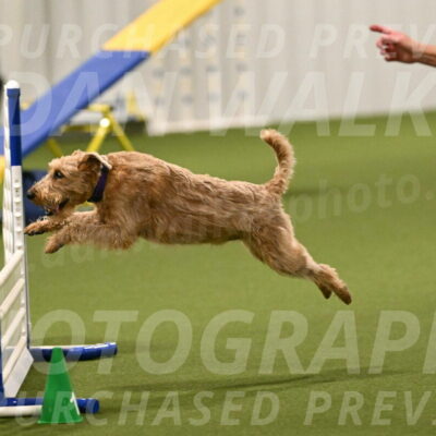 Keegan-Andrea-Ralles-05766