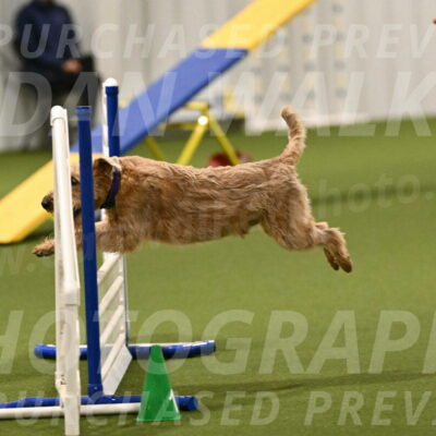 Keegan-Andrea-Ralles-05767